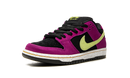 Nike SB Dunk Low ACG Tierra Rojo Ciruela