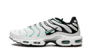 Nike Air Max Plus Atmos