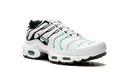Nike Air Max Plus Atmos