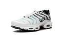 Nike Air Max Plus Atmos