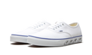 Vans Authentic "Sidewall - Paint Palette"