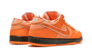 Nike SB Dunk Concepts Langosta Naranja