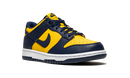 Nike Dunk Low Michigan