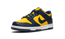 Nike Dunk Low Michigan