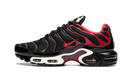 Nike Air Max Plus Black and Red