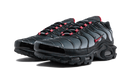 Nike Air Max Plus Blue and Red