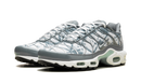 Nike Air Max Plus Waterway
