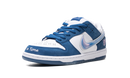 Nike Dunk Low Born x Raised