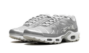 Nike Air Max Plus Metallic Silver
