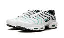 Nike Air Max Plus Atmos