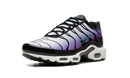 Nike Air Max Plus Reverse Grape