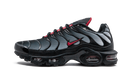 Nike Air Max Plus Blue and Red