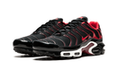 Nike Air Max Plus Black and Red