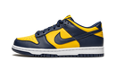 Nike Dunk Low Michigan