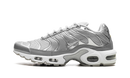 Nike Air Max Plus Metallic Silver