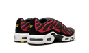 Nike Air Max Plus
