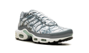 Nike Air Max Plus Waterway