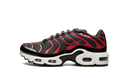 Nike Air Max Plus